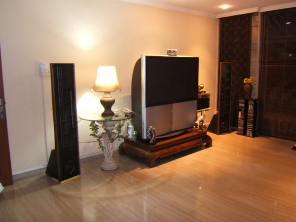 Eminent Technology LFT-8B Speakers used in a home setup example 4