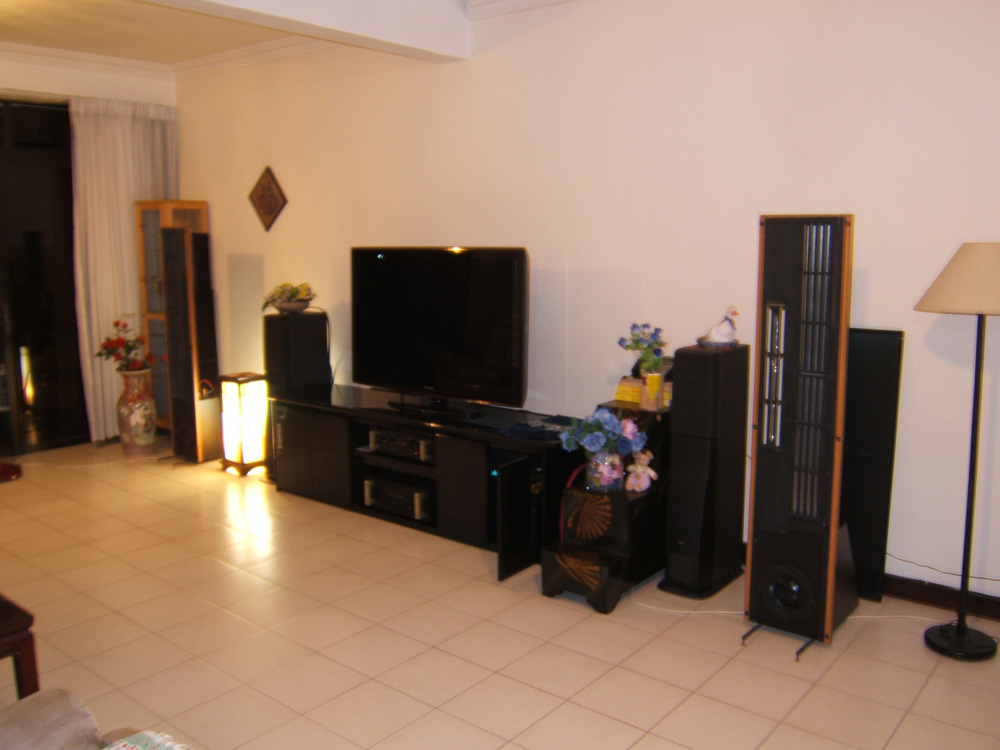 Eminent Technology LFT-8B Speakers used in a home setup example 3